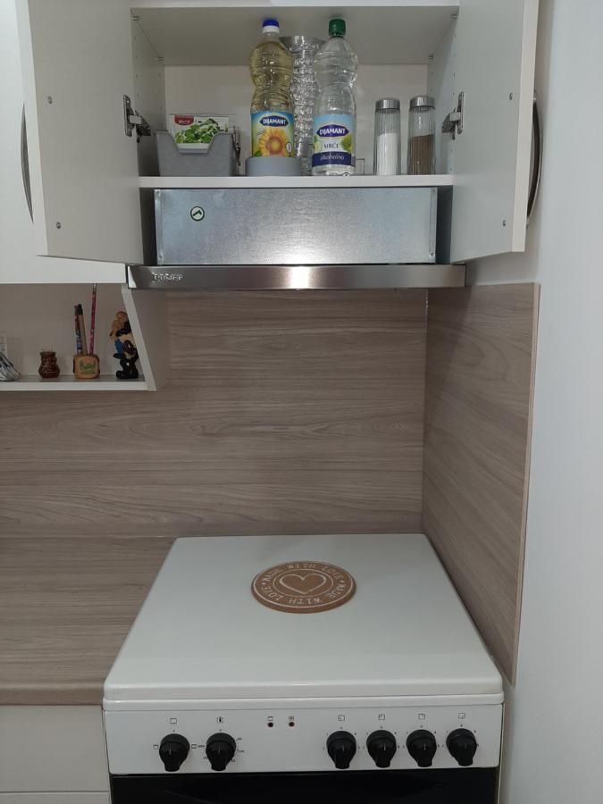 Apartman Viaggio Sremska Mitrovica Exteriér fotografie